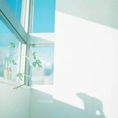 澳门4949资料免费大全